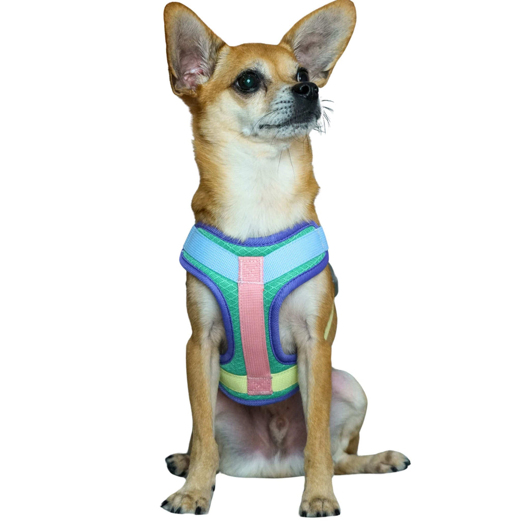 Dog Harness Blueberry Pet Vibrant Mesh Padded Ultra Cool Lightweight Dog Harness Vest